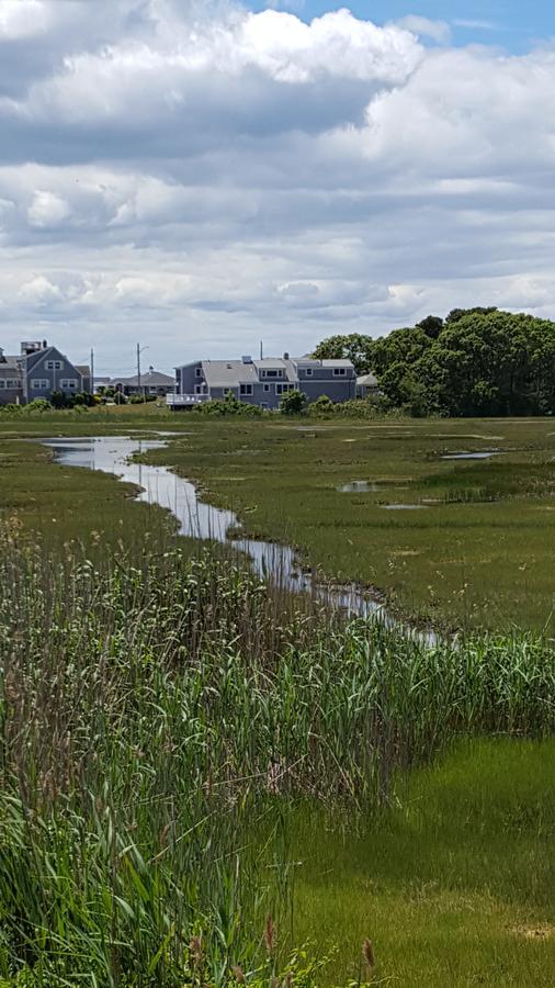 A Cape Cod Ocean Manor Inn ไฮยานนิส ภายนอก รูปภาพ